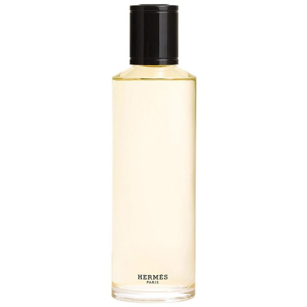 Terre D'Hermès Parfum Intense Edp Recarga 200 Ml