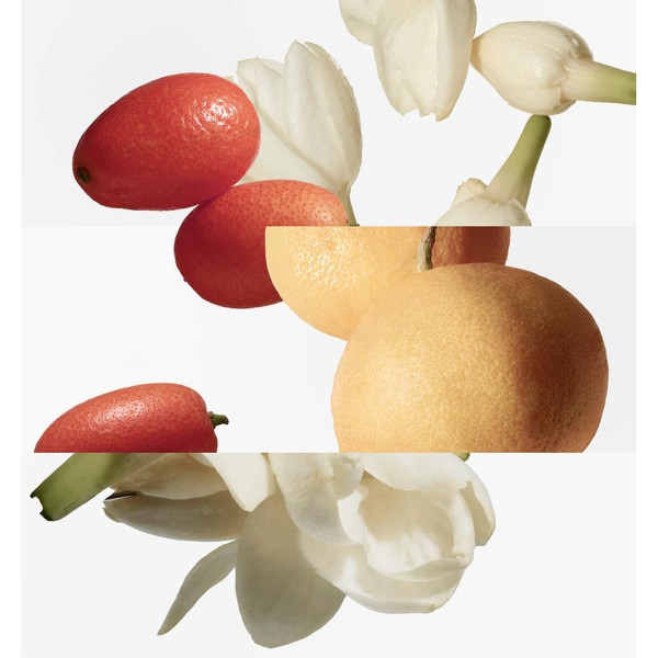 Hermes Paris Le Jardin De Monsieur Li Eau De Toilette 100Ml Vapo