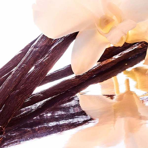 Mon Guerlain Eau De Parfum Intense Vaporizador 50 Ml