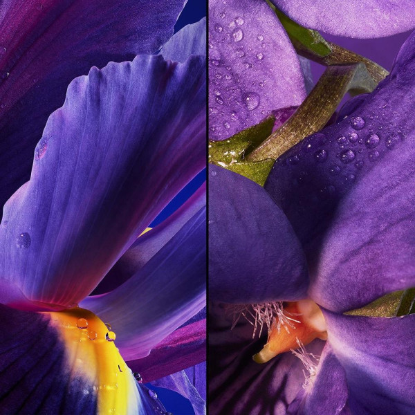 L'Heure Bleue Edt Vapo 75 Ml