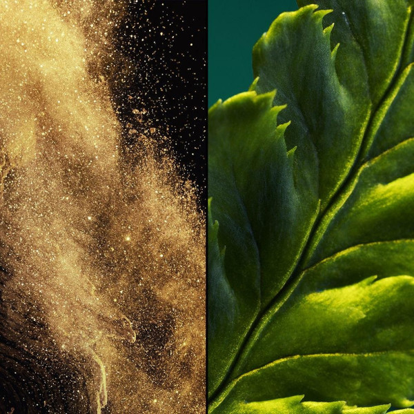 Vol De Nuit Eau De Toilette Vaporizador 75 Ml