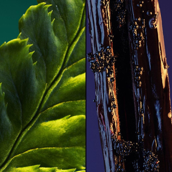 Jicky Eau De Parfum Vaporizador 75 Ml