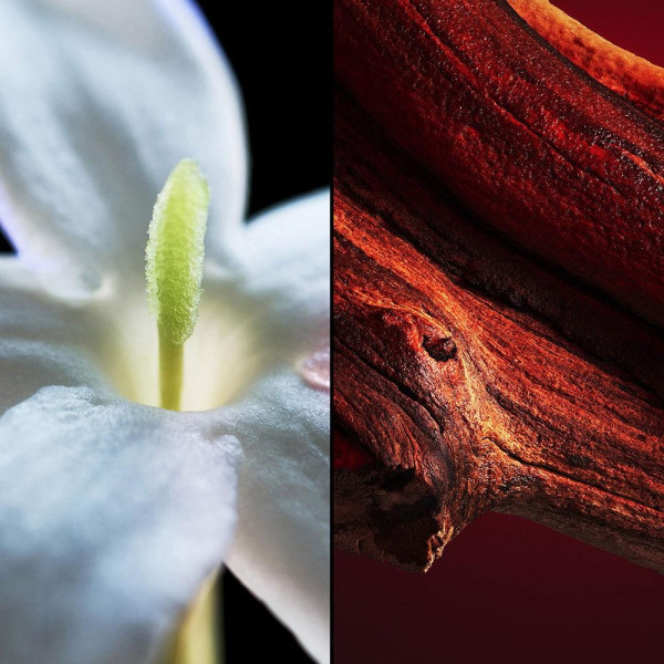 Samsara Eau De Parfum Vaporizador 75 Ml