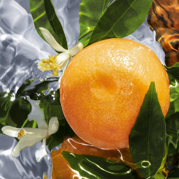 Aqua Allegoria Pamplelune Eau De Toilette Vaporizador 75 Ml