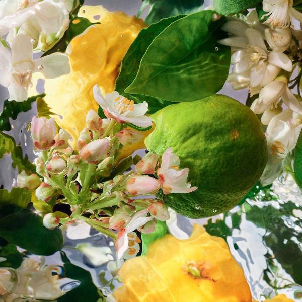 Aqua Allegoria Bergamote Calabria Recarga Edt Vapo 200 Ml