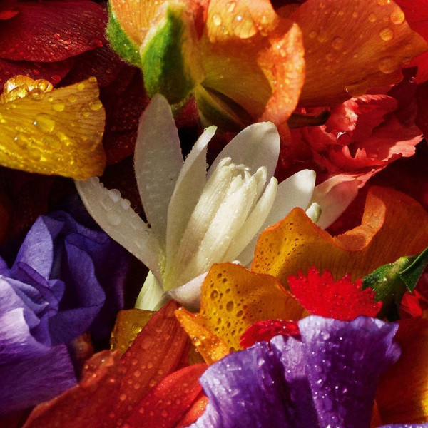 Aqua Allegoria Flora Bloom Forte Edp Refill 200 Ml