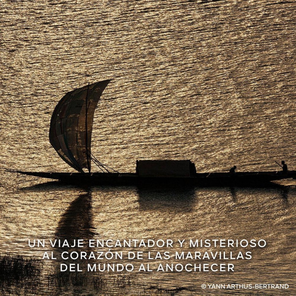 Absolus Allegoria Patchouli Ardent Edp Vapo 125 Ml