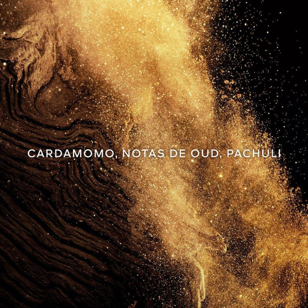 Absolus Allegoria Épices Exquises Edp Vapo 125 Ml