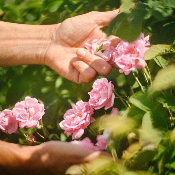 La Petite Robe Noire Edt Vapo 100 Ml