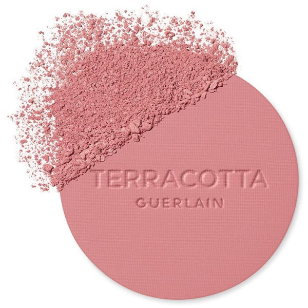 Terracotta Blush Colorete Efecto Buena Cara 01 1 U