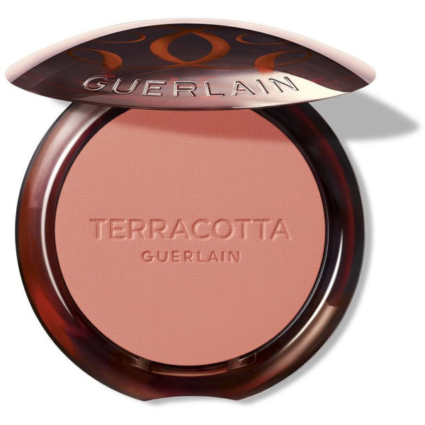 Terracotta Blush Colorete Efecto Buena Cara 02 1 U