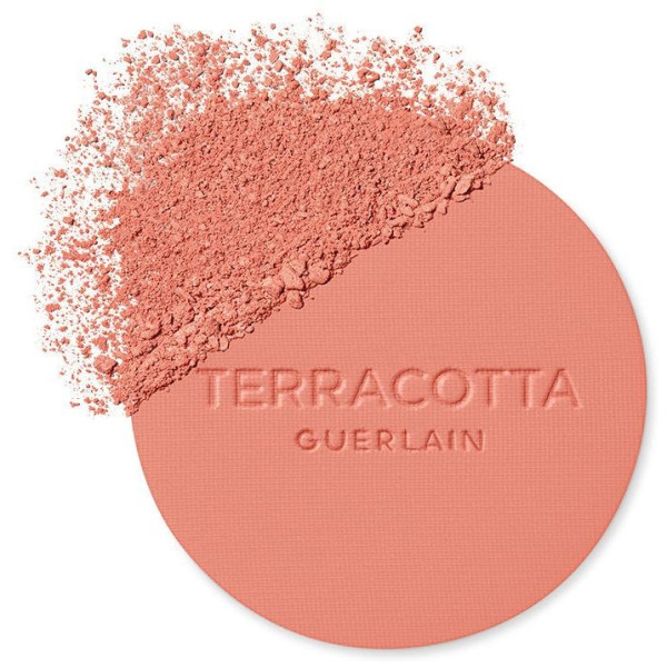 Terracotta Blush Colorete Efecto Buena Cara 02 1 U