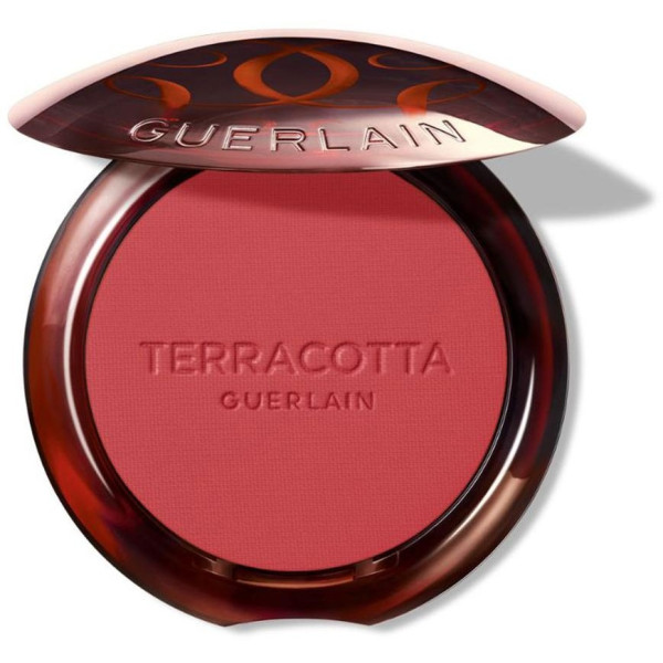 Terracotta Blush Colorete Efecto Buena Cara 06 1 U