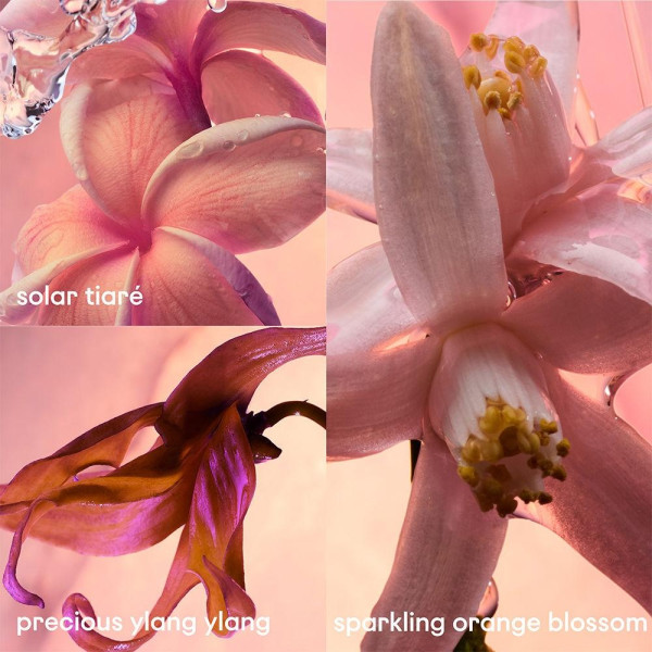 Paco Rabanne Olympea Solar Eau De Parfum 80Ml