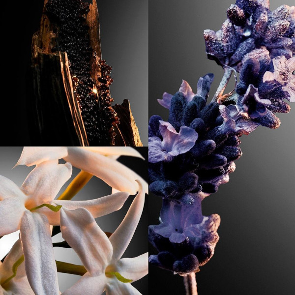 Phantom Intense Edp Vapo 100 Ml