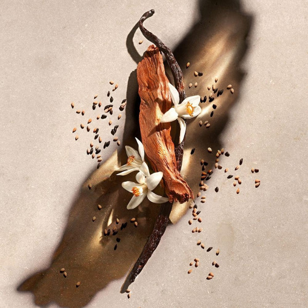 Zadig Edp Recarga 150 Ml