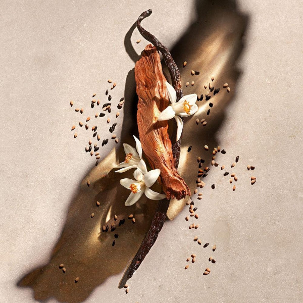 Zadig Loción Corporal 200 Ml