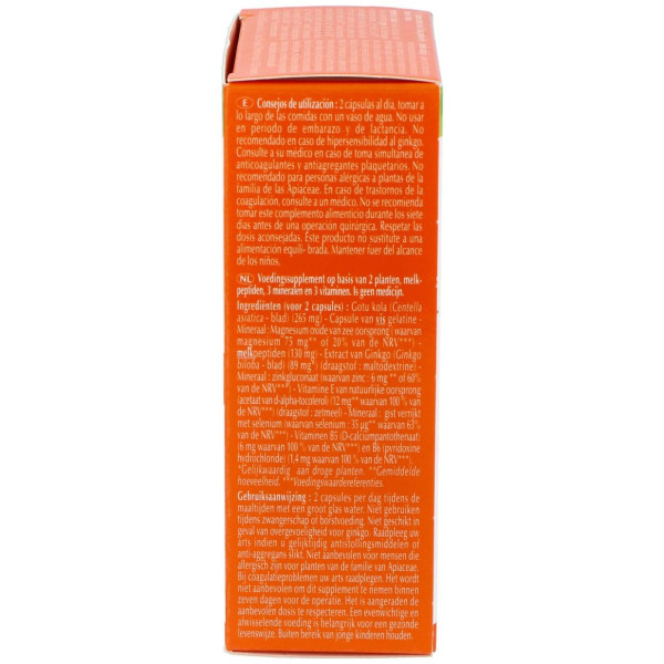 Memoflash Memoria 60Cap Agbio