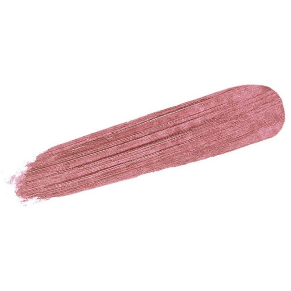Phyto Lip Twist 22-Burgundy Mat