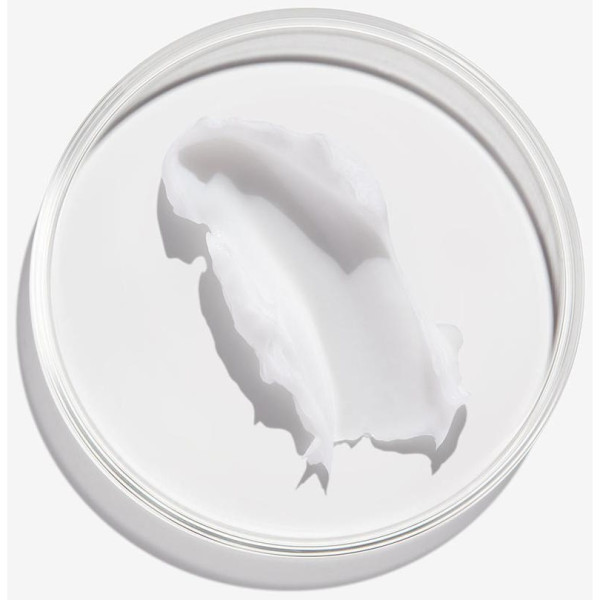 Redken Frizz Dismiss Acondicionador 300Ml