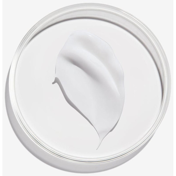 Redken Frizz Dismiss Rebel Tame Crema Leave-In 250Ml