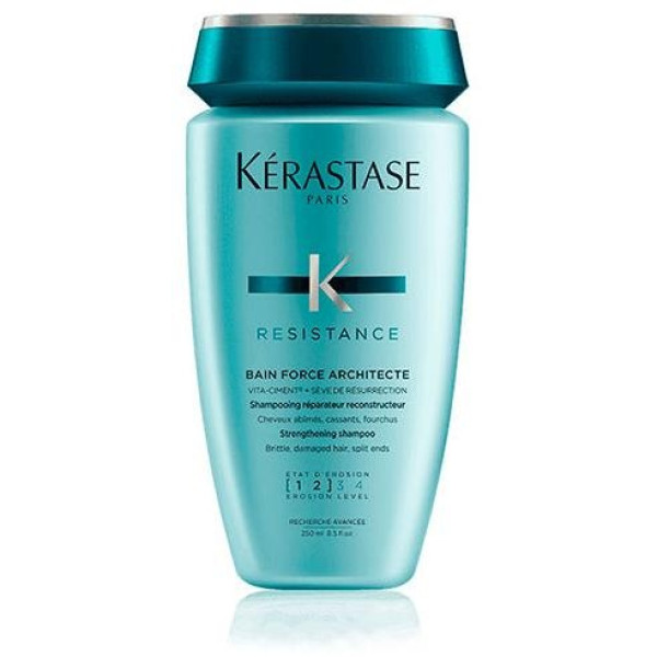 Resistance Bain Force Architecte Refill 500 Ml