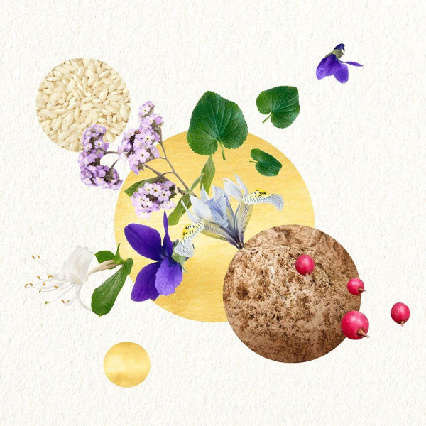 Mood For Harmony Woman Edt Vapo 100 Ml