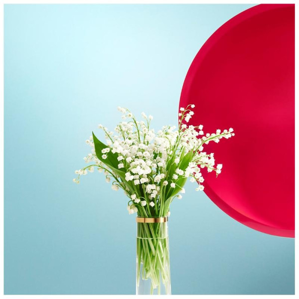 Miu Miu Eau De Parfum Vaporizador 50 Ml