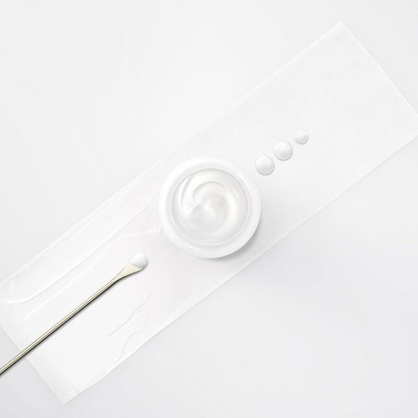 Helena Rubinstein Re Plasty Age Recovery Day Cream 50Ml