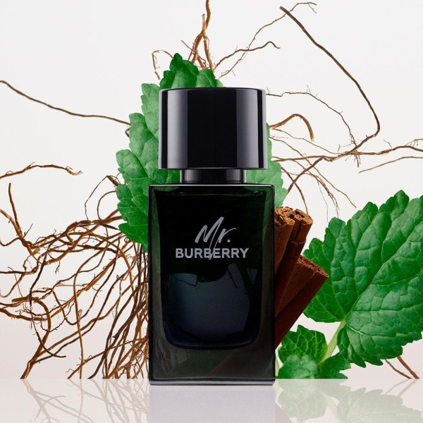 Mr. Burberry Eau De Parfum Vaporizador 100 Ml