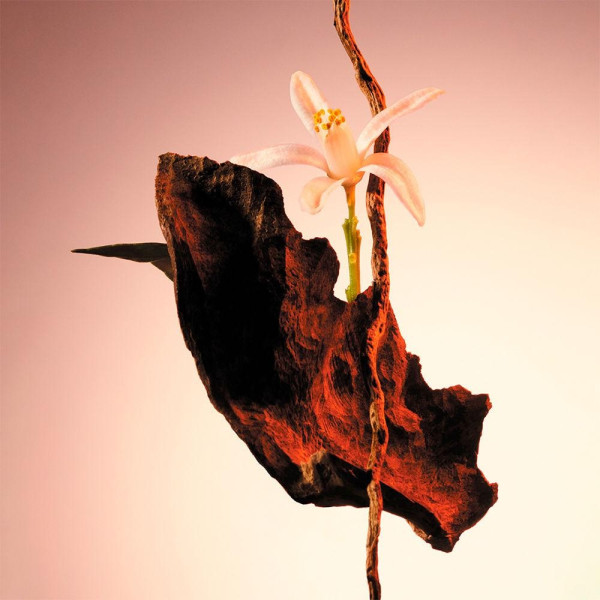 The Scent For Her Le Parfum Edp Vapo 30 Ml