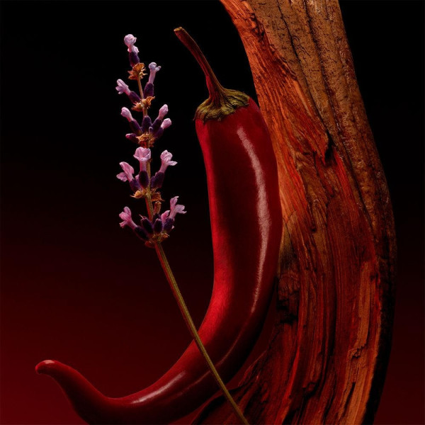 The Scent For Him Elixir Edp Vapo 100 Ml 2