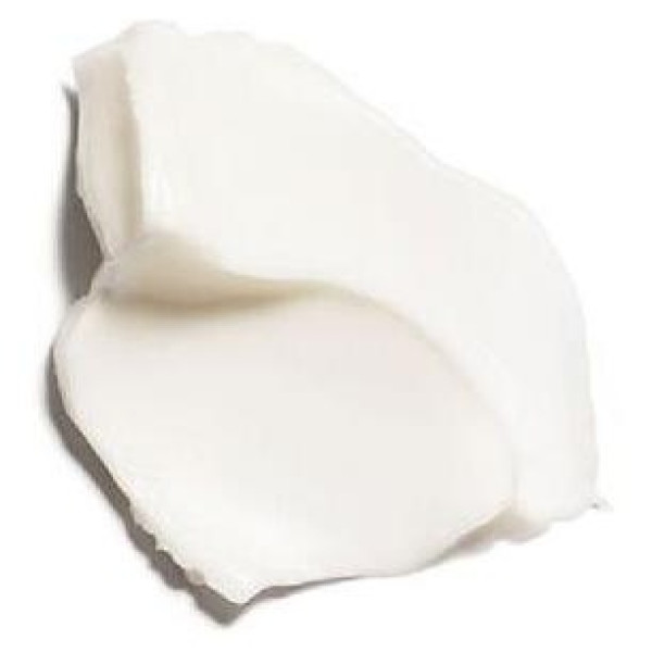 Multi-Active Crema De Noche Pieles Secas 50 Ml