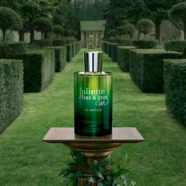 Ex Vetiver Edp Vapo 100 Ml