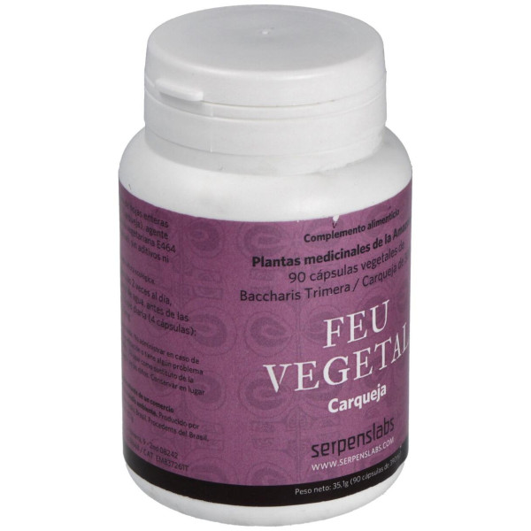 Feu Vegetal Digestion 90Cap.