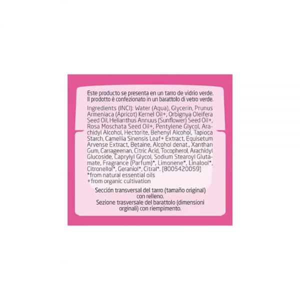 Crema de Día Alisante de Rosa Mosqueta y Té Blanco, 40 ml. - Weleda