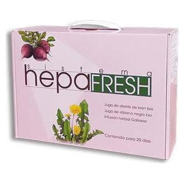 Hepa Fresh Sistema Pack Schoenenberger