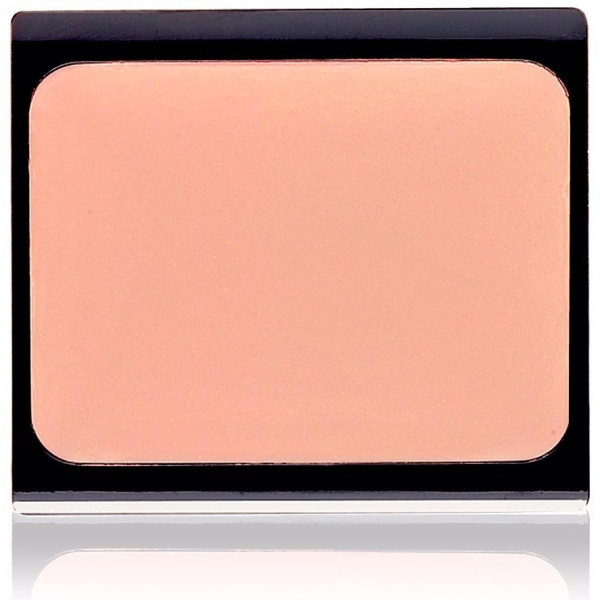 Artdeco Camouflage 03 Iced Coffee 4_5G