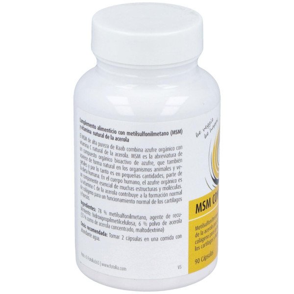 Raab Vitalfood Msm Con Vitamina C 90Caps