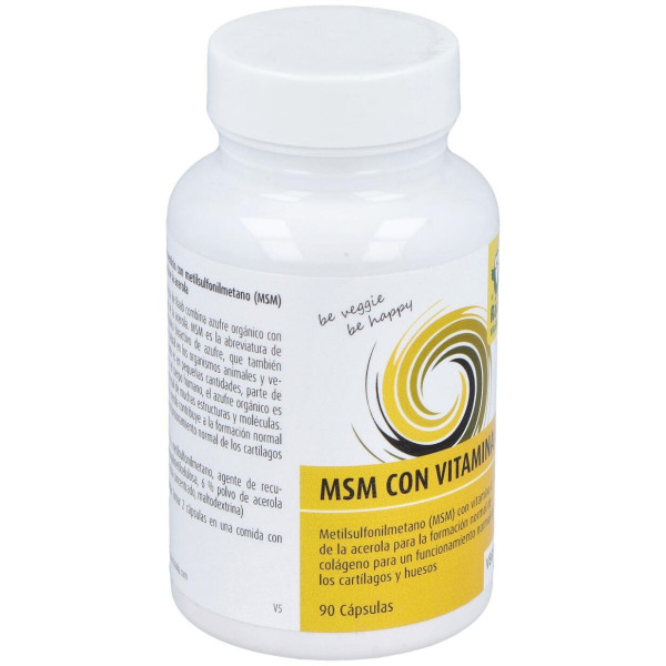 Raab Vitalfood Msm Con Vitamina C 90Caps
