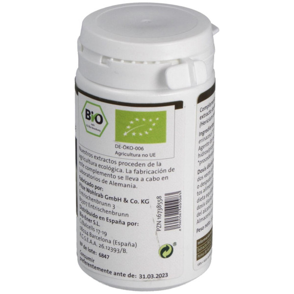 Pilze Wolhrab Melena De León Hericium Bio 60Caps