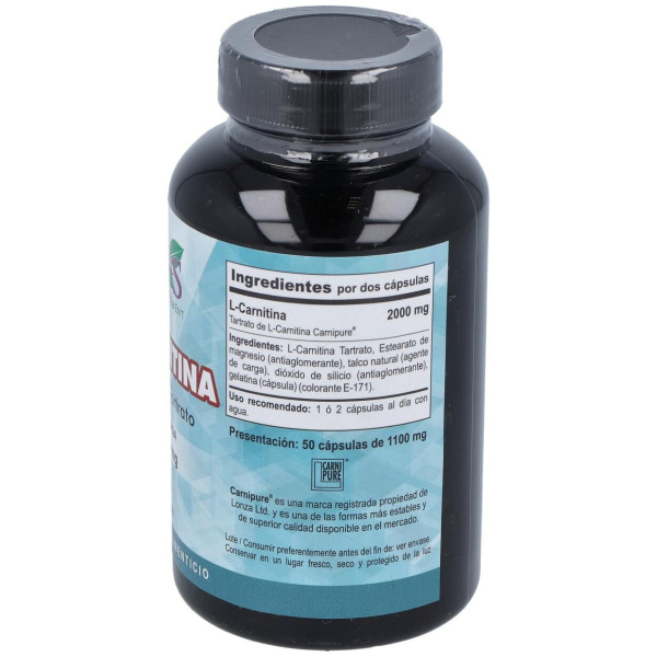 L - Carnitina Carnipure 1000mg 50 Caps - Vbyotics