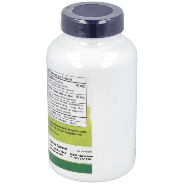 Vbyotics Ginkgo Biloba 60Mg 120Caps