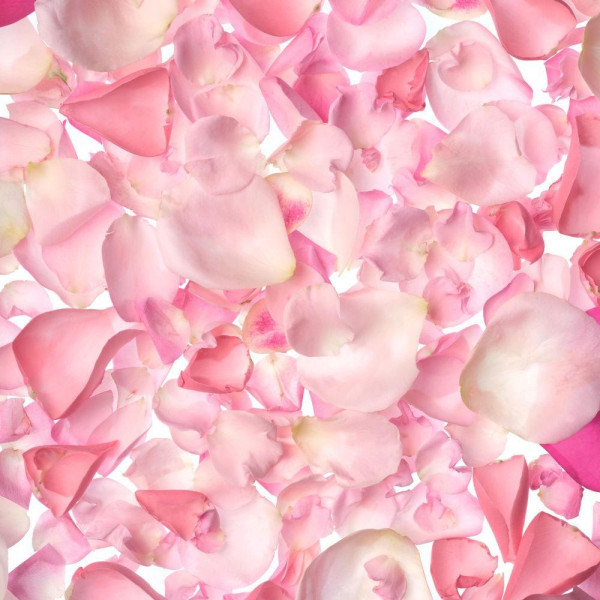 British Rose Exfoliante De Ducha 50 Ml