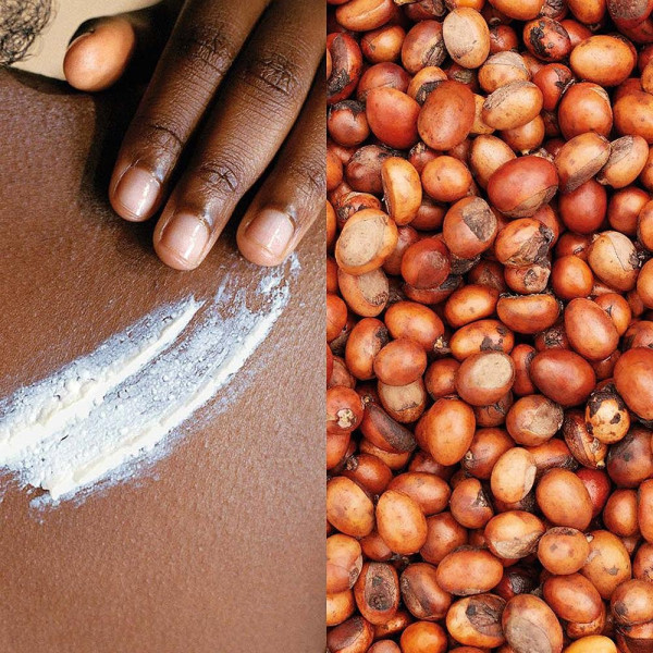 Shea Manteca Corporal 50 Ml