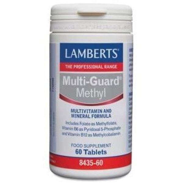 Lamberts Multi Guard Methyl 60Comp