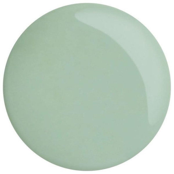 High Gloss Nail Polish Mint 10 Ml