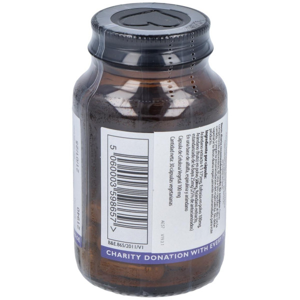 Arandano Y Eufrasia 30Cap.Veg.