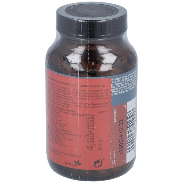 Terranova Glucosamina Boswelia Msm Complex 100Caps