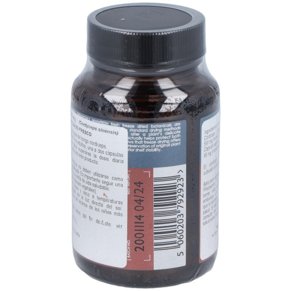 Terranova Córdiceps 500 Mg (Cordyceps Sinensis) 50 Cápsulas